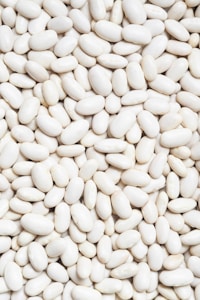 white beans on white background