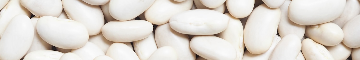 white beans on white background