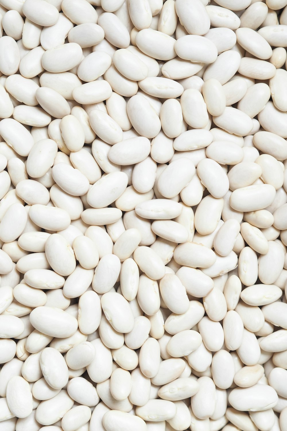 white beans on white background