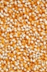 brown and white beans on white ceramic plate