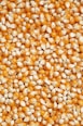 brown and white beans on white ceramic plate