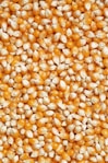 brown and white beans on white ceramic plate