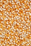 brown and white beans on white ceramic plate
