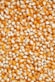 brown and white beans on white ceramic plate