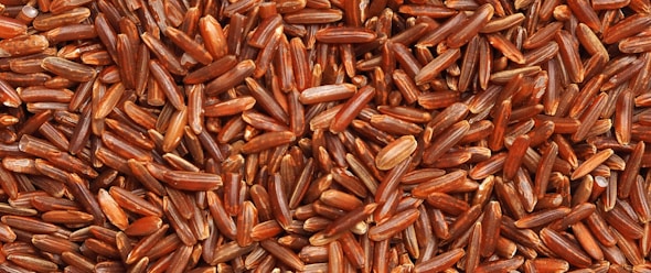 brown and white dried leaves