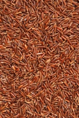 brown and white dried leaves