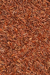 brown and white dried leaves