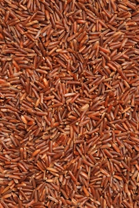 brown and white dried leaves