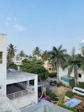 A scenic view of a vibrant Central Florida neighborhood with sunny skies and palm trees.