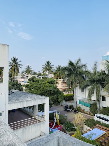 A scenic view of a vibrant Central Florida neighborhood with sunny skies and palm trees.