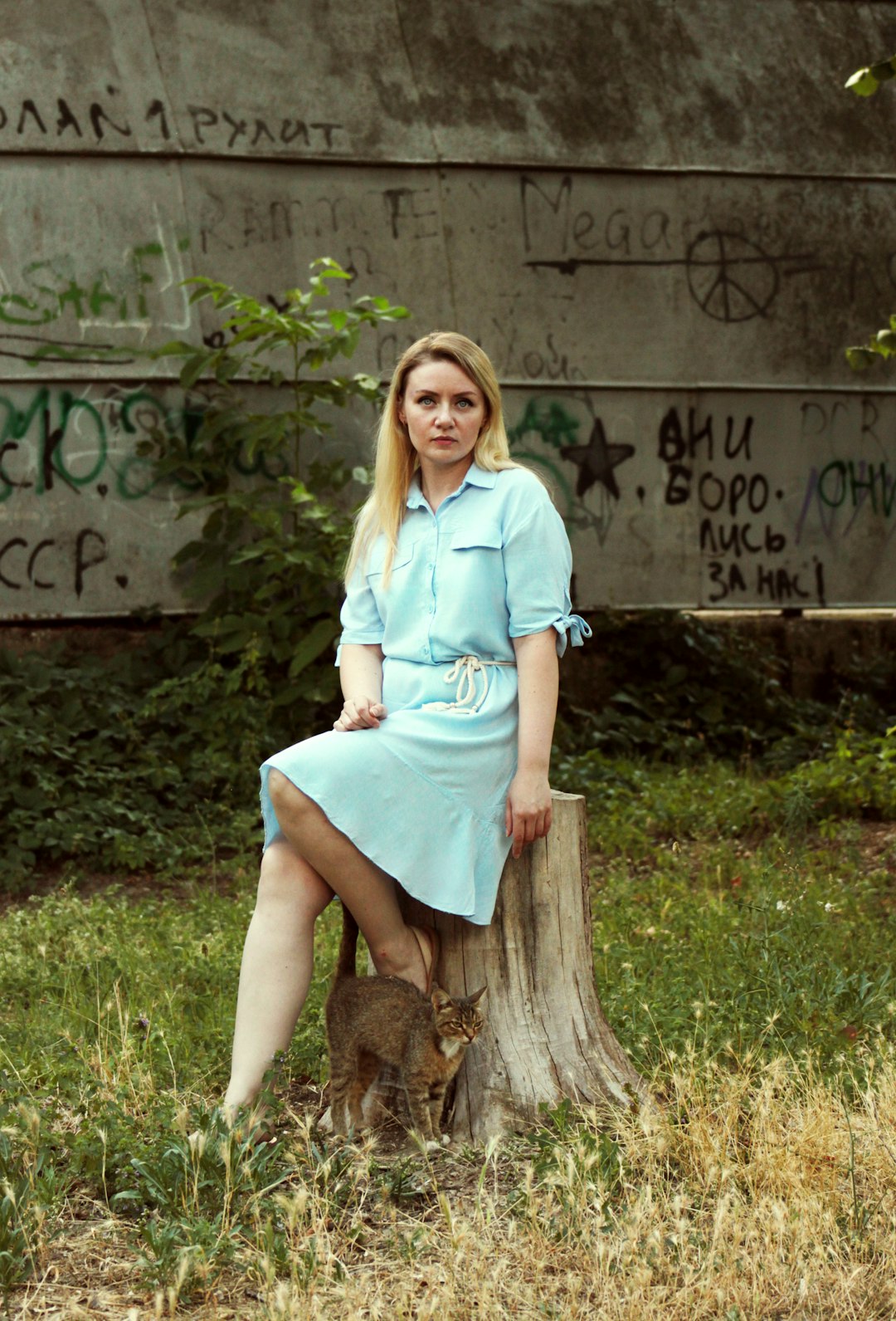 woman in blue button up shirt sitting on brown log