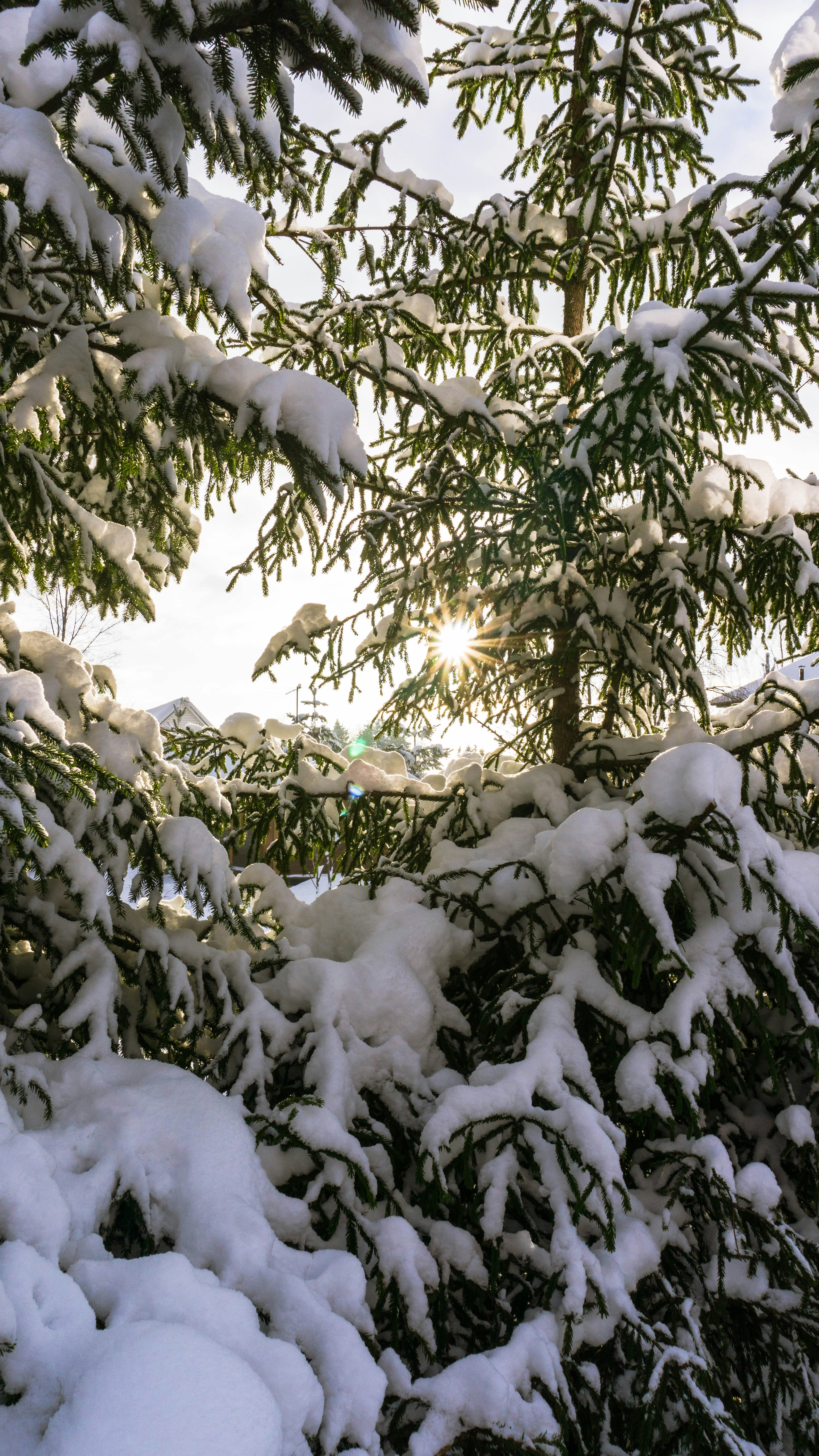 Photo by anainsomnia