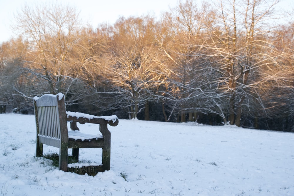 black wooden bench on snow covered ground