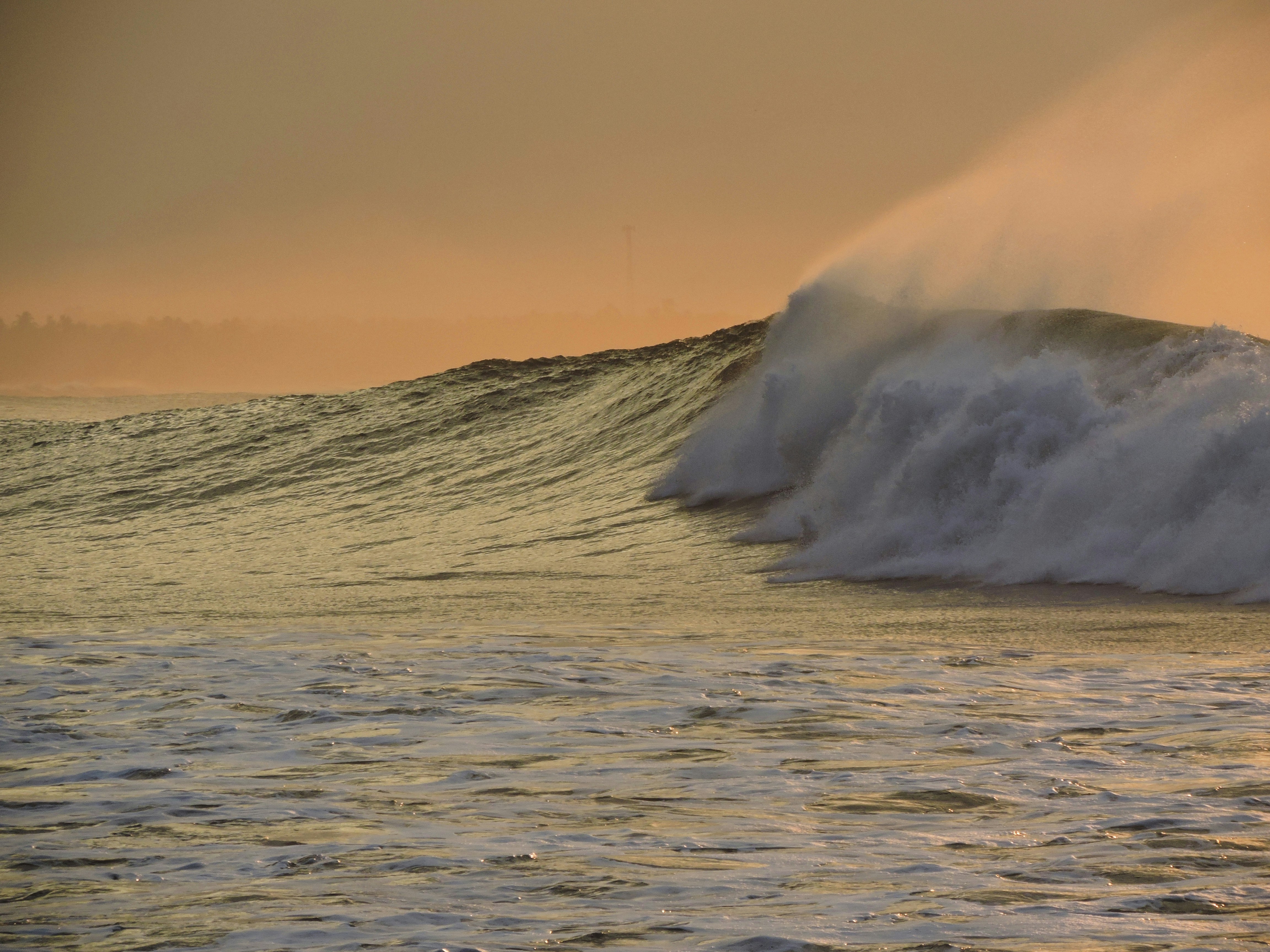 Photo by fastermaster0