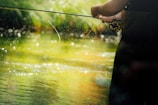 An angler casting a delicate fly line over the shimmering water at Drift Reservoir as golden light filters through tall trees.