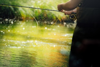 Angler casting a fly rod over the calm waters of the Grand River with lush green banks.
