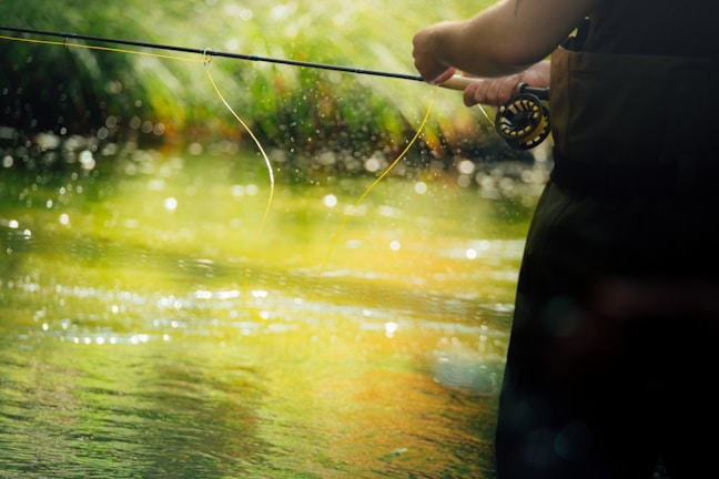 An angler casting a delicate fly line over the shimmering water at Drift Reservoir as golden light filters through tall trees.