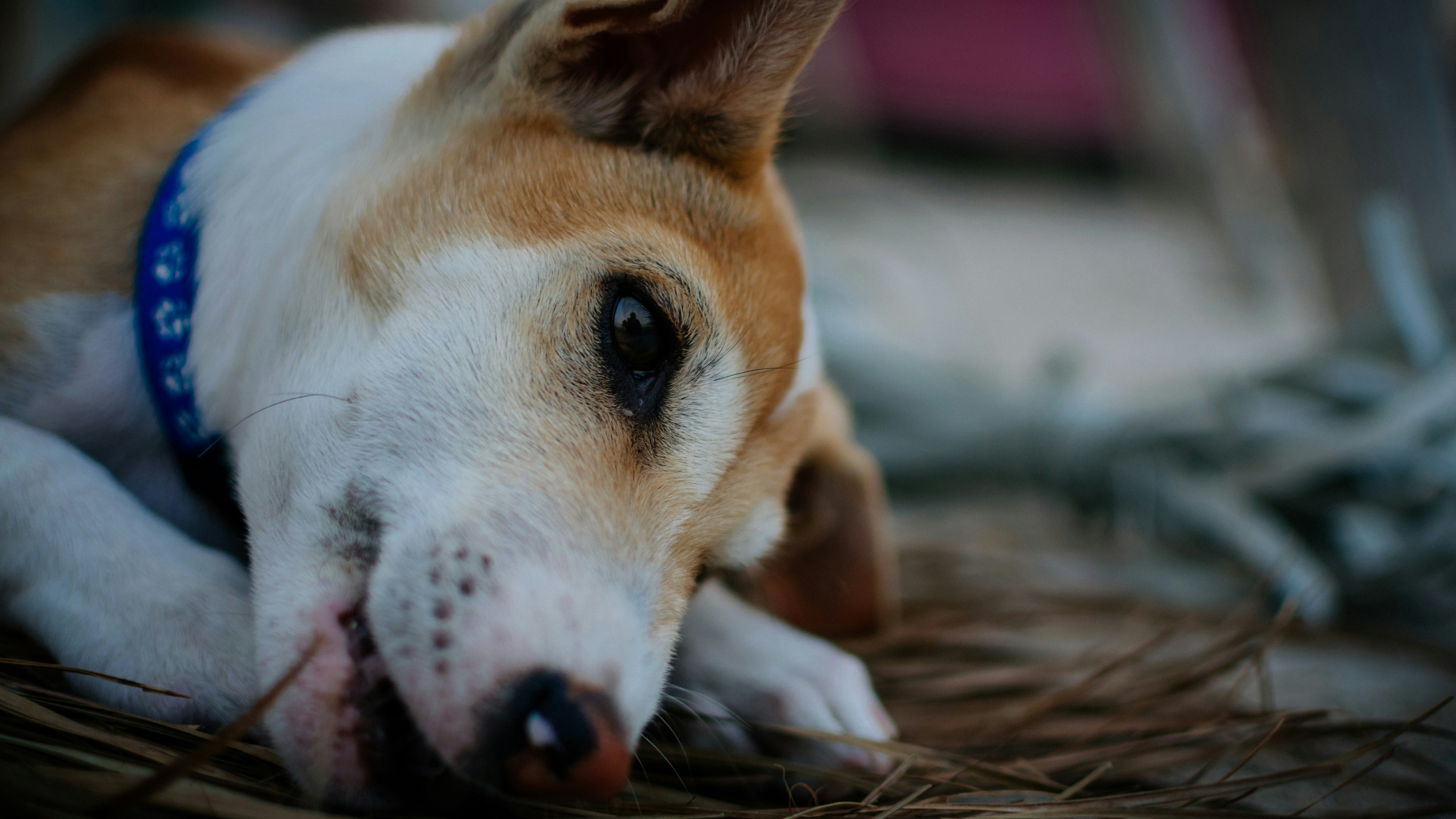 Photo by in_a_dustyblackcoat