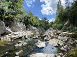 gray rocks on river during daytime