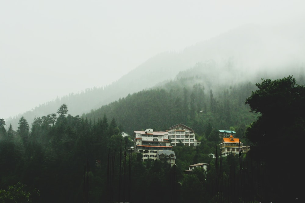 white and brown house on top of mountain