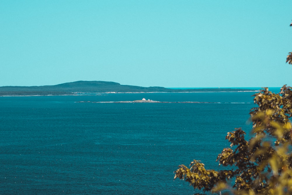 Grüne Bäume auf der Insel während des Tages