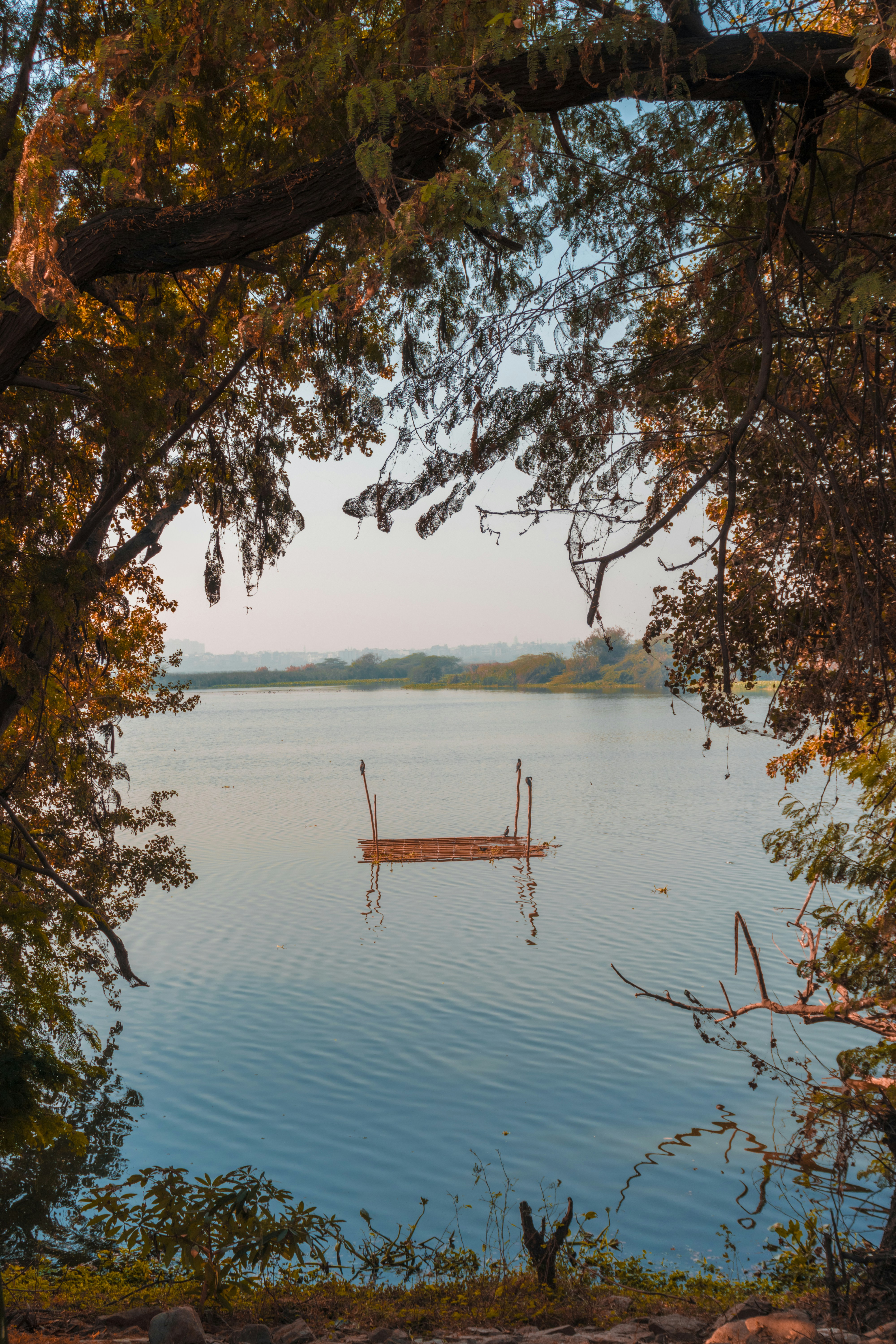 Photo by zs_photography_s