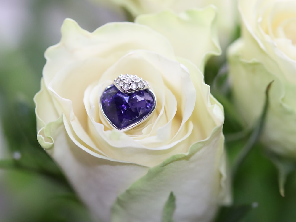 silver diamond ring on white rose