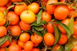 orange fruits on green leaves