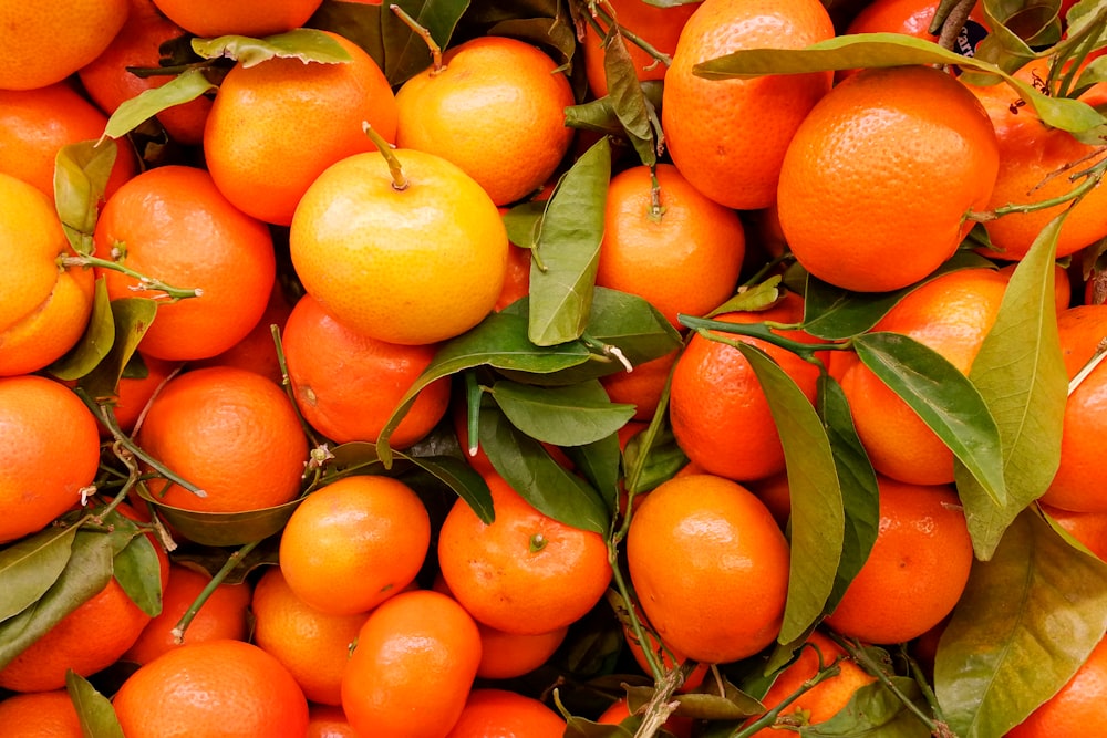 녹색 잎에 오렌지 과일
