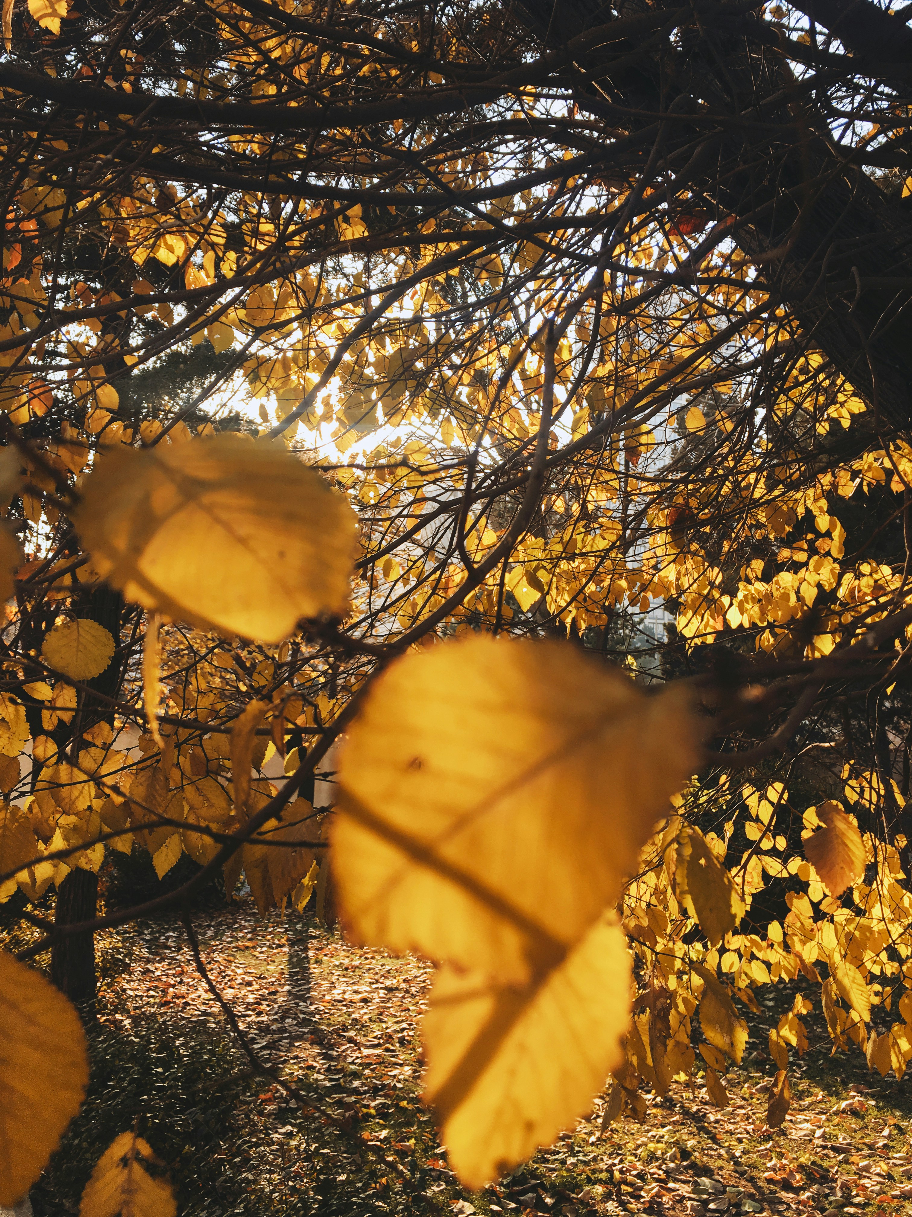 Photo by ashkanshahrokh