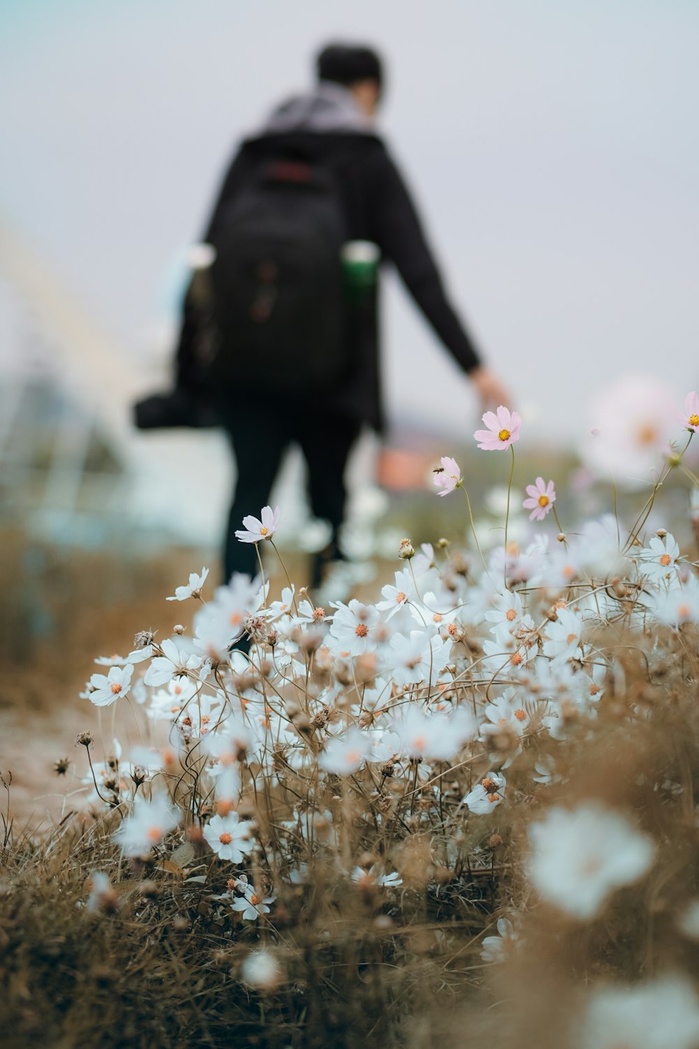 Person in schwarzer Jacke und schwarzer Hose, die tagsüber auf weißen Blumen steht