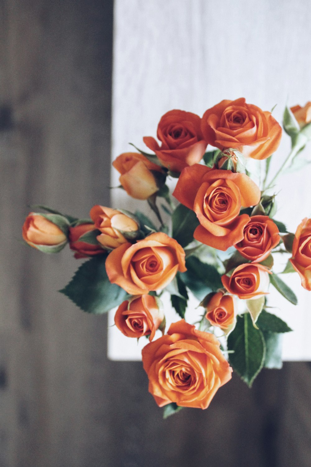 red roses in white vase