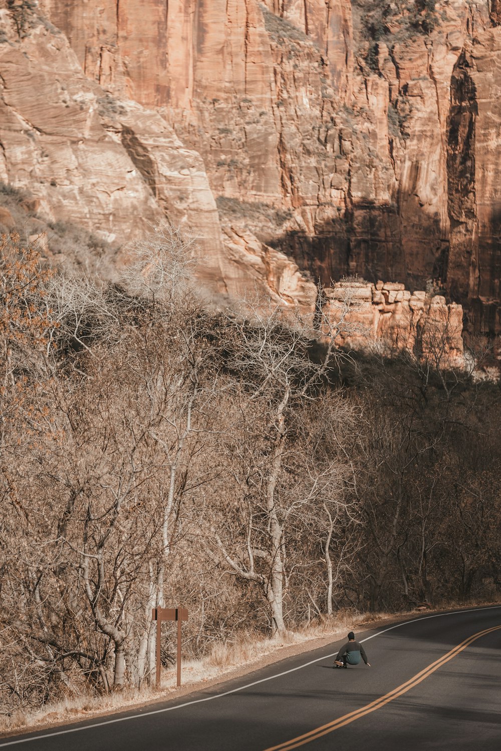 brown trees near brown rock formation during daytime