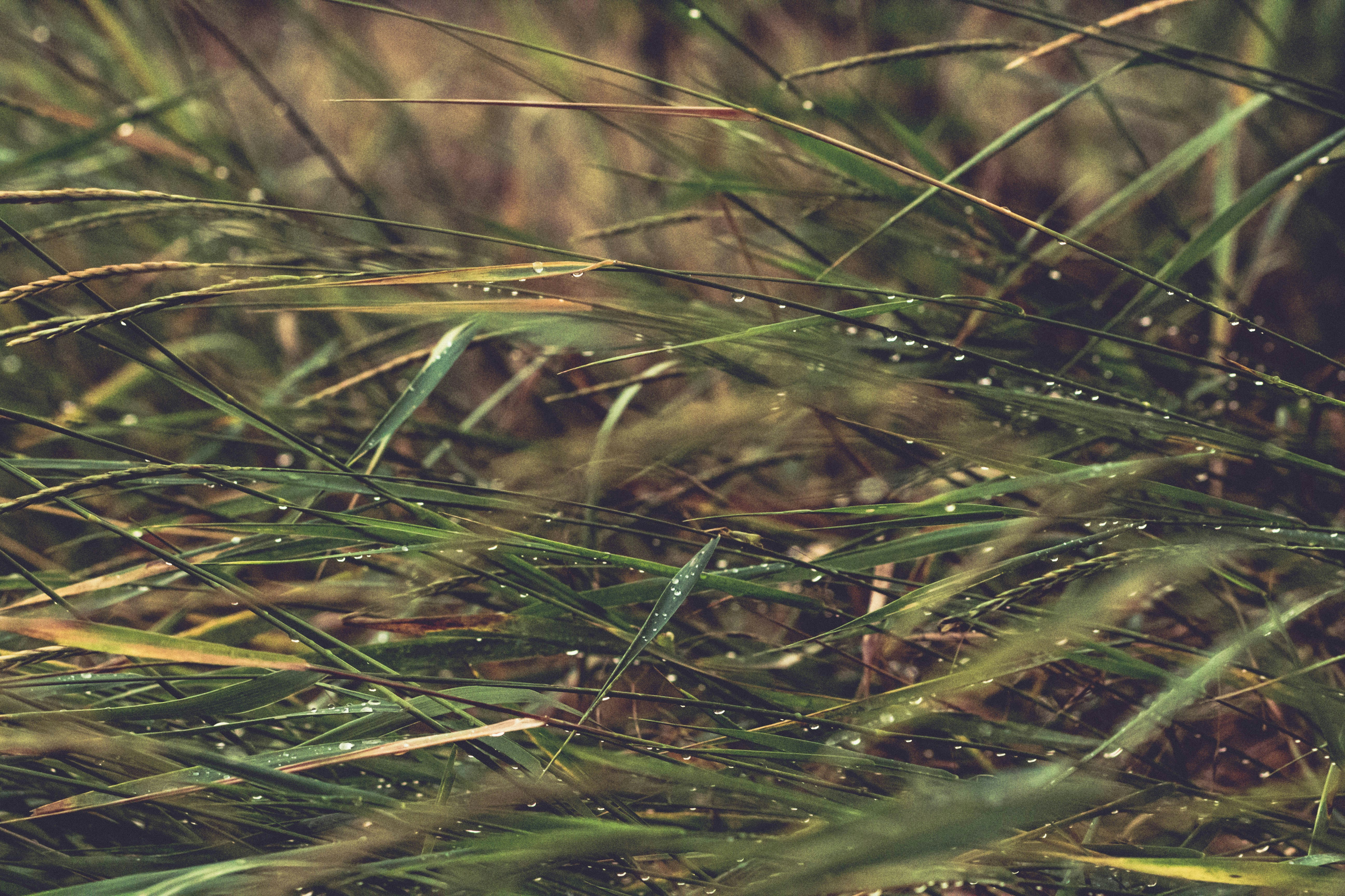 Photo by mishima1992