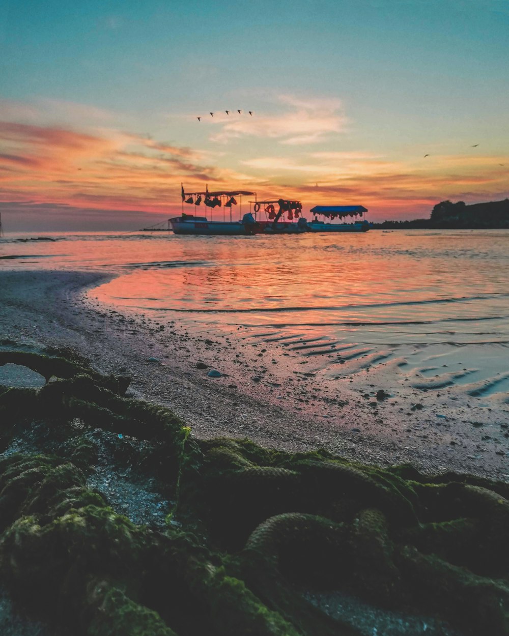 silhouette of people on beach during sunset