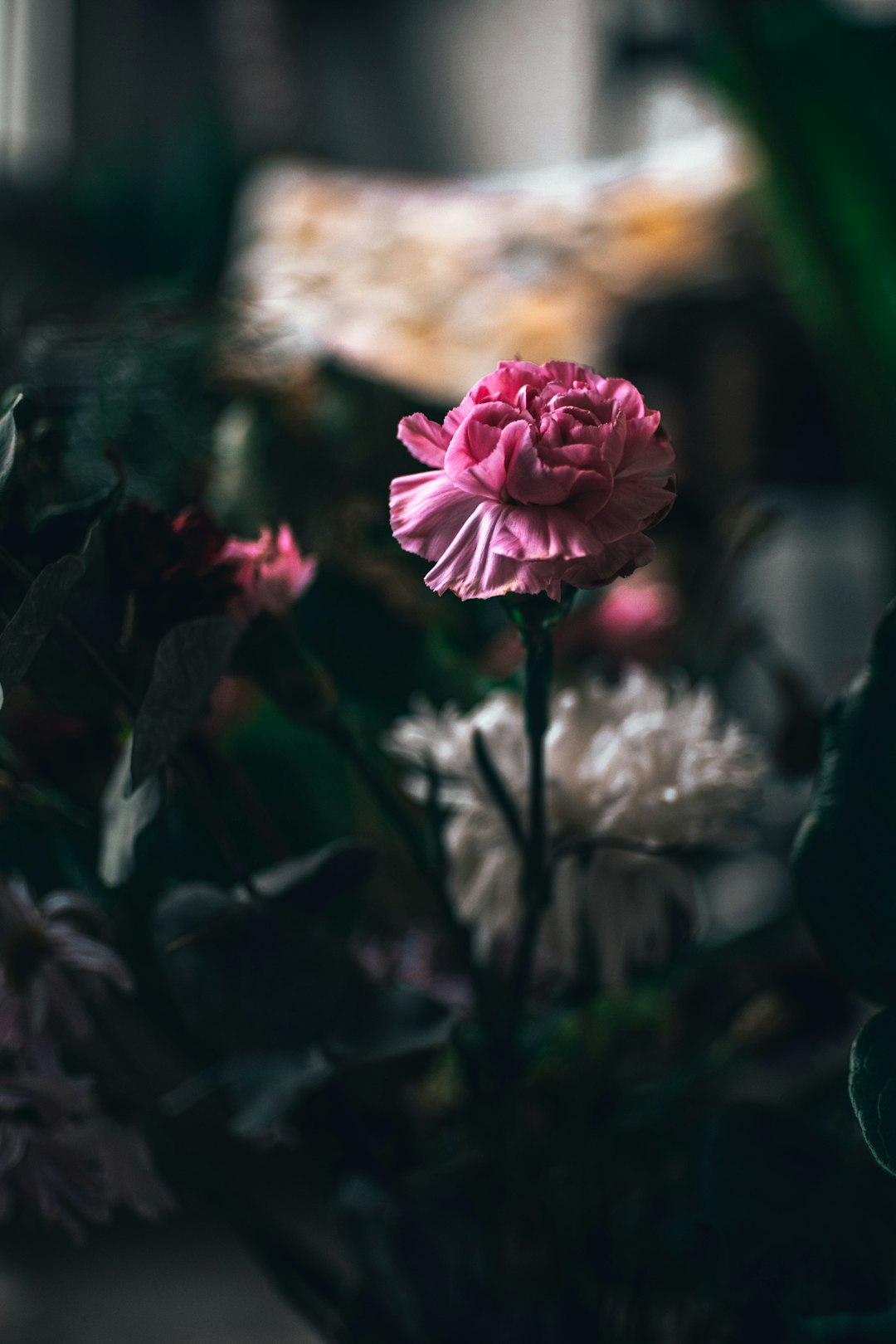 pink flower in tilt shift lens