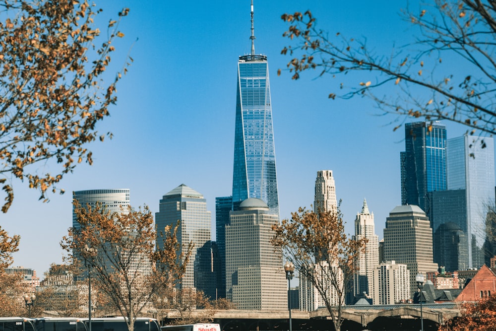 city skyline under blue sky during daytime