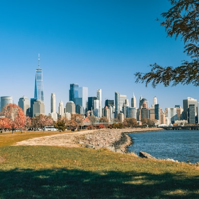 city skyline near body of water during daytime