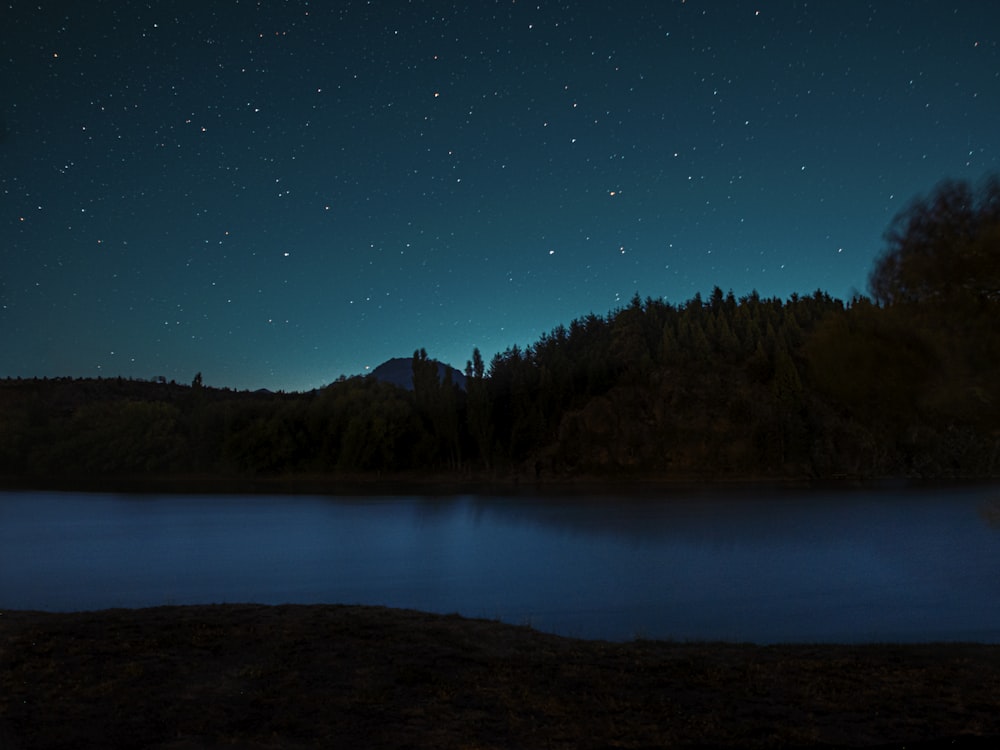 Lago circondato da alberi sotto il cielo blu durante la notte