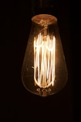 brown and white light bulb