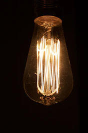 brown and white light bulb