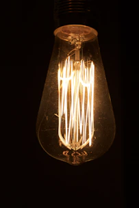 brown and white light bulb