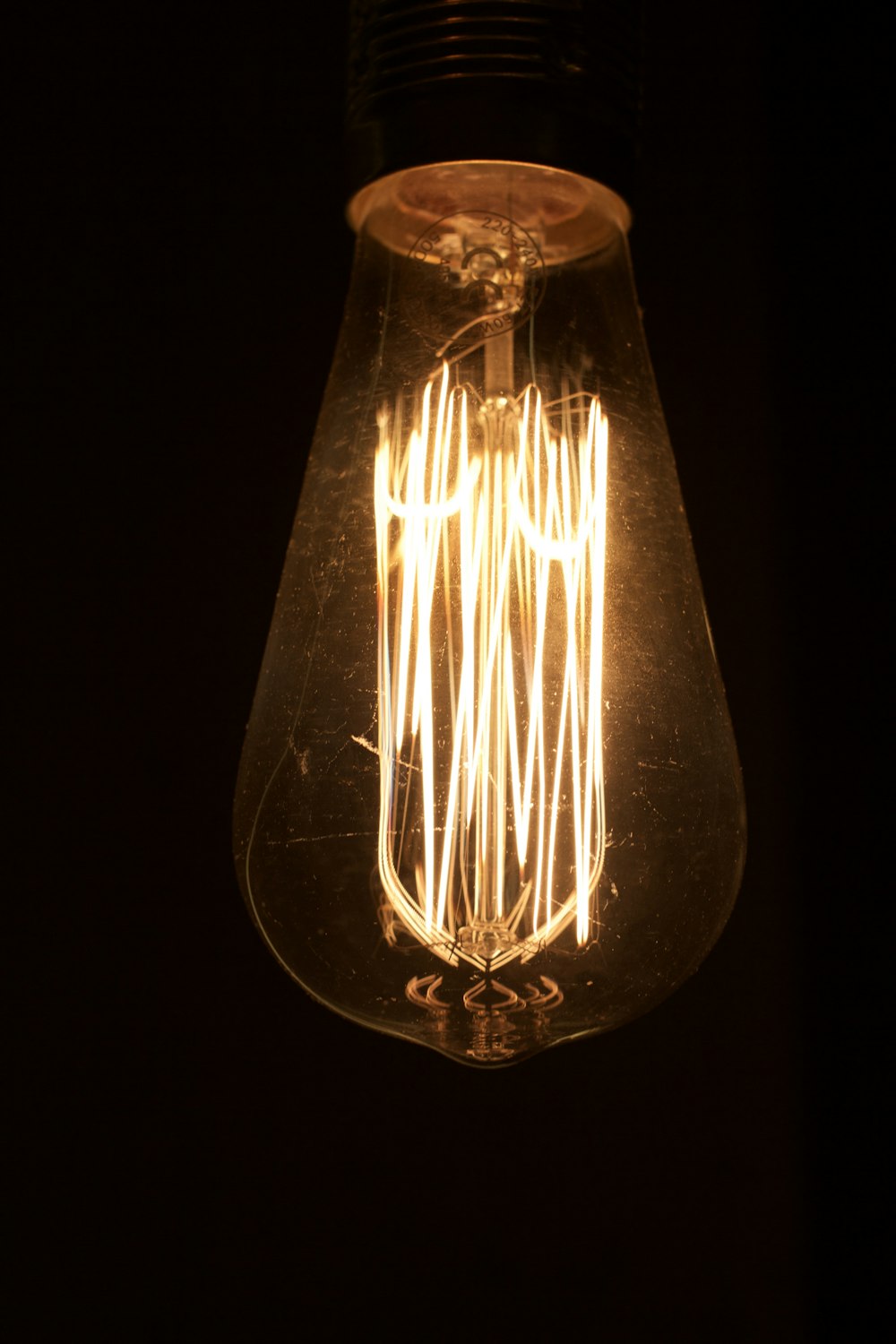 brown and white light bulb