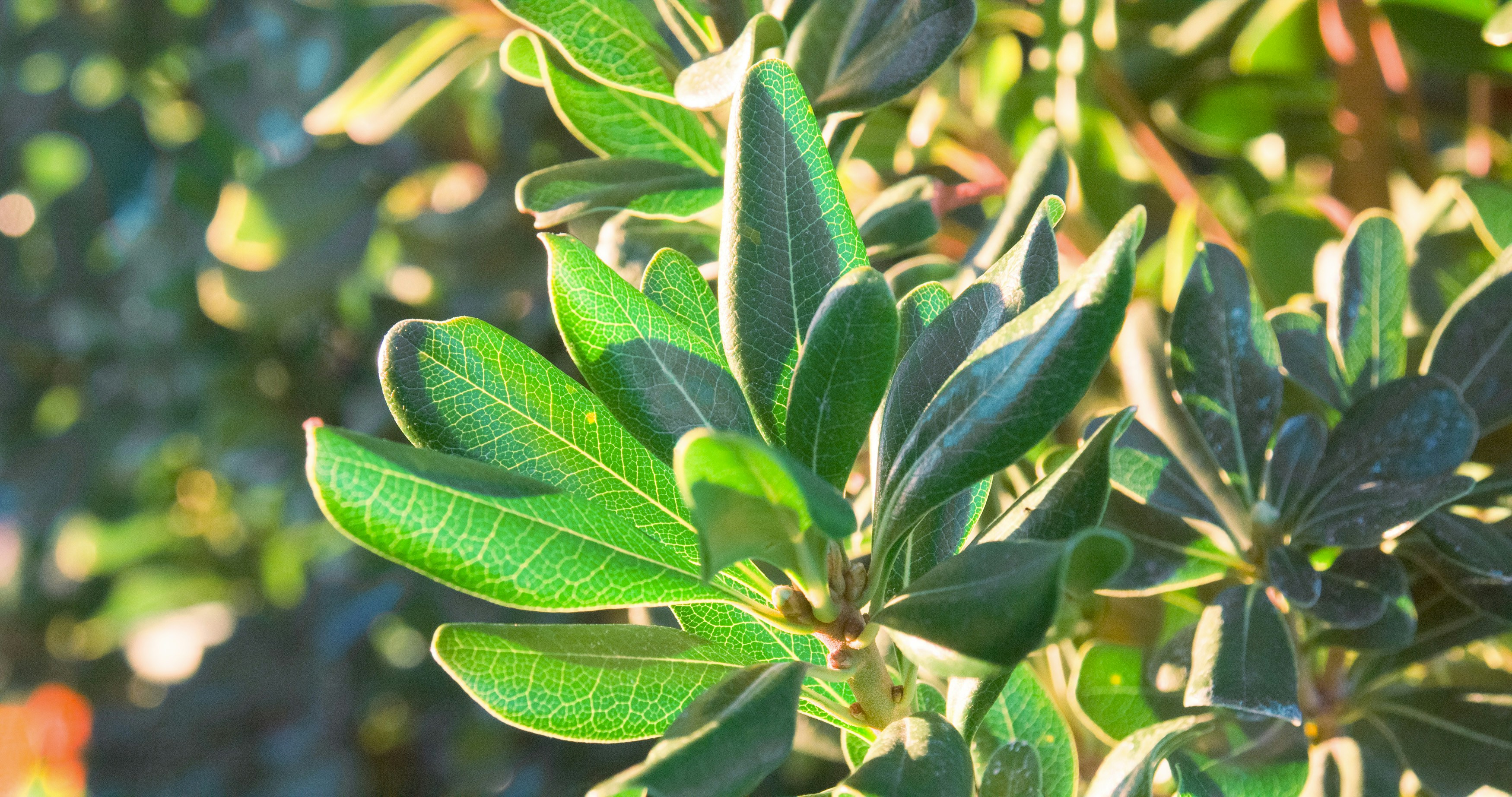 Photo by _nickwright_