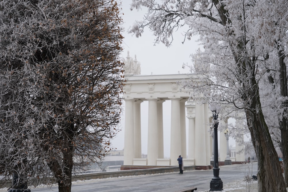 white concrete building near bare trees during daytime