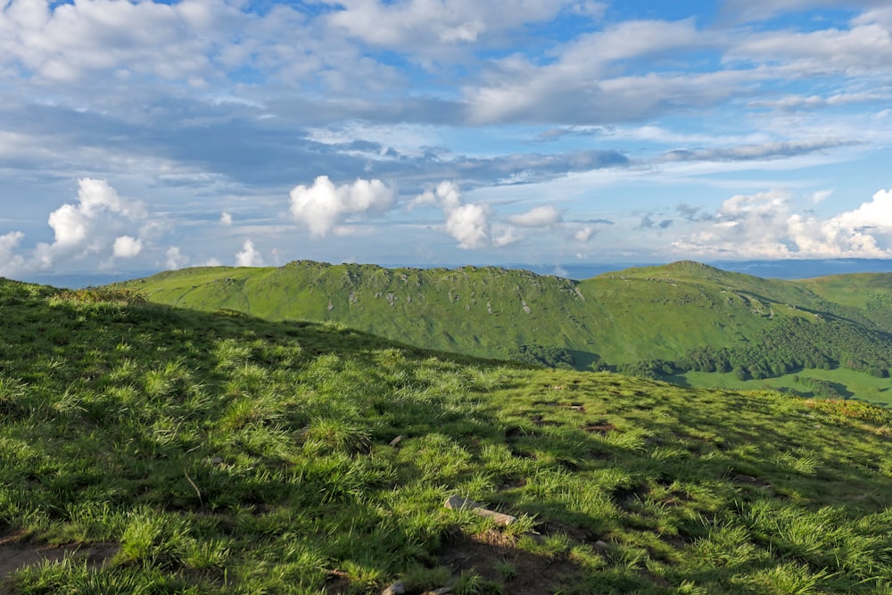 Campo de hierba verde bajo el cielo azul durante el día