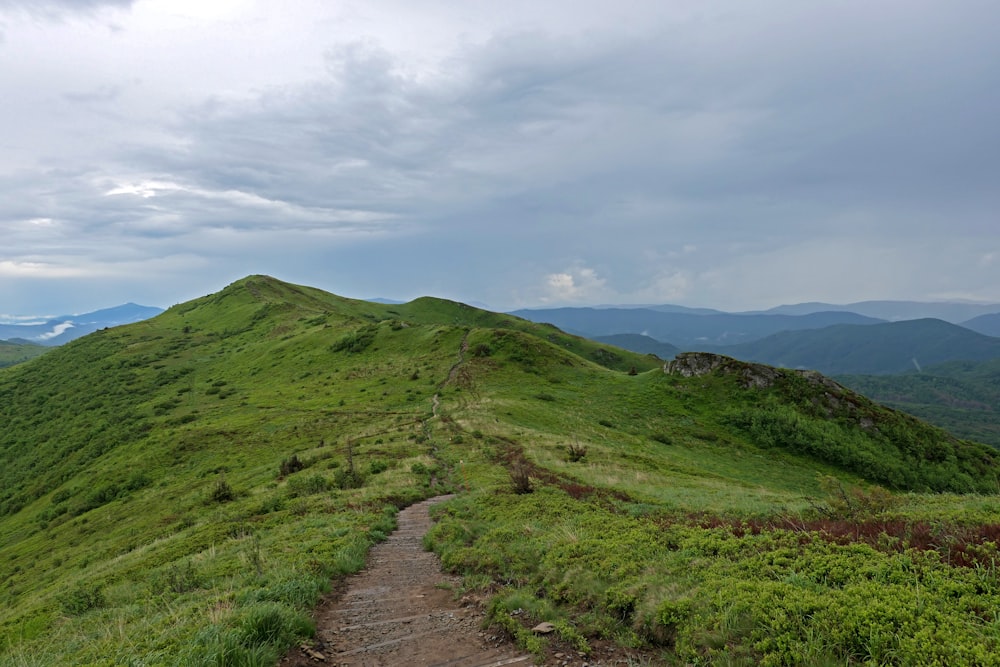 Campo de hierba verde bajo nubes blancas durante el día