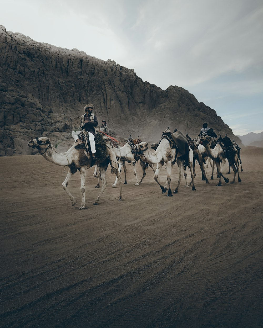 people riding camel on brown sand during daytime