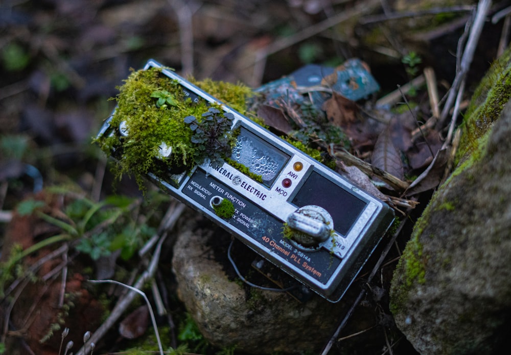 black and gray digital camera on green moss