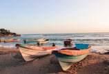 white and blue boat on beach during daytime